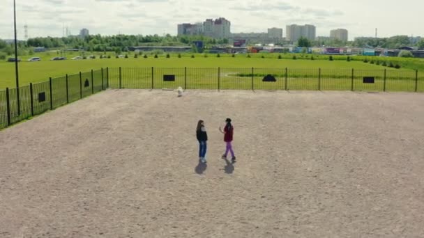 Girls play with cute dog on ground in green park aerial view — Stock Video