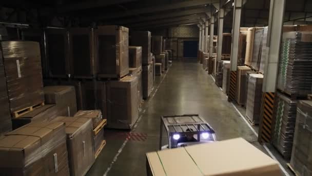 Φορτιστές περονοφόρου ανυψωτικού οχήματος μεταφέρουν συσκευασμένο χαρτί σε αποθήκη — Αρχείο Βίντεο