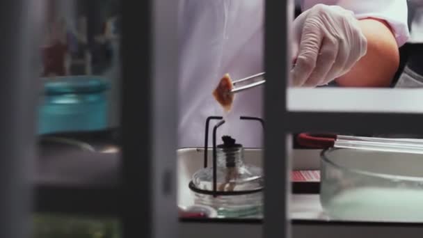 Scienziato riscalda carne di maiale sul bruciatore a gas in primo piano laboratorio — Video Stock