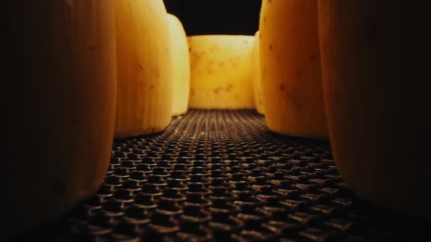 Curado de cabezas de queso en estante de metal en fondo negro — Vídeos de Stock