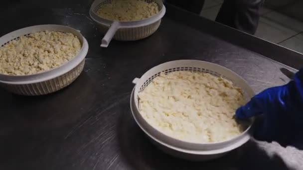 Работник переворачивает сырой сыр на металлический стол в мастерской крупным планом — стоковое видео