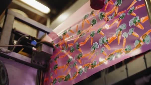 Foil with drawn carrots transported to package vegetables — Stock Video