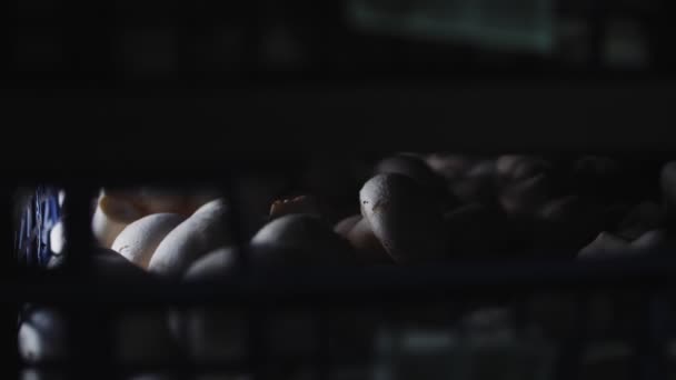 Mouvement récipient passé avec champignons à l'usine de légumes — Video