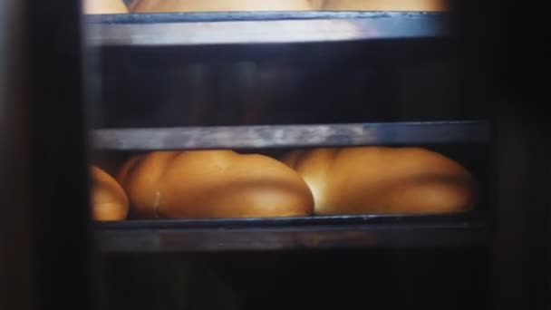 Fresh bread loaves baked on rack in oven at bakery closeup — 비디오