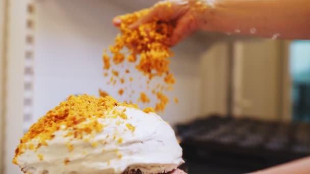 Konditor verziert Kuchen mit Krümeln in Bäckerei-Nahaufnahme — Stockvideo