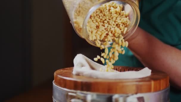 Middle aged woman pours pine nuts into oil extractor closeup — Stock Video