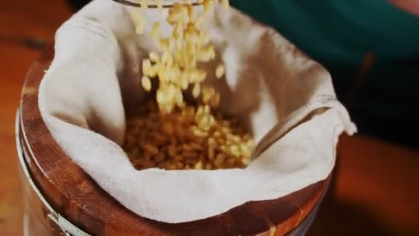 Заливка сырых кедровых орехов в машину для прессования масла на столе — стоковое видео
