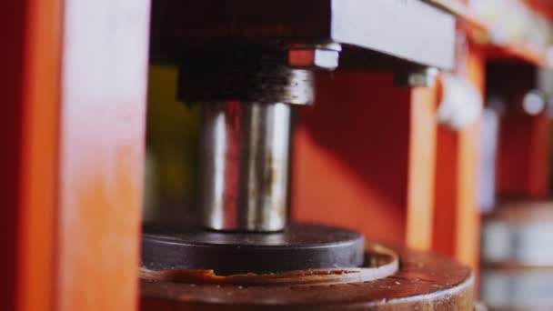 Press machine extracts oil from pine nuts extreme close view — Stock Video