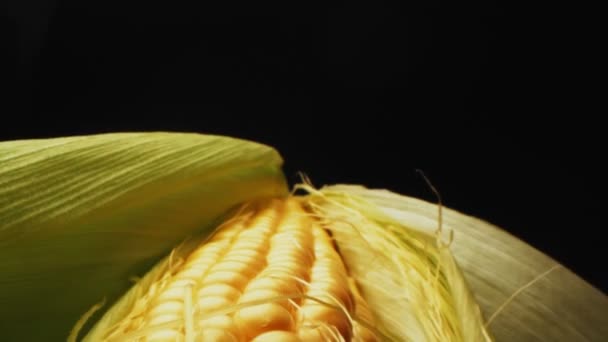 Delicious corn on cob on black background close view — 비디오