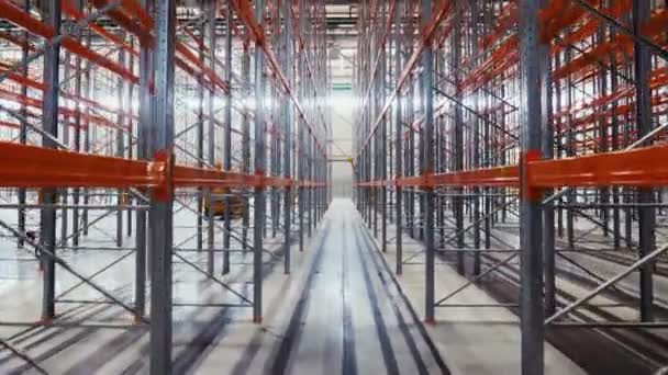Grandes prateleiras de metal instaladas em espaçoso armazém moderno — Vídeo de Stock