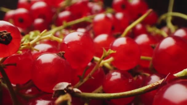 Tasty red currant in plastic container on dark background — Stock Video