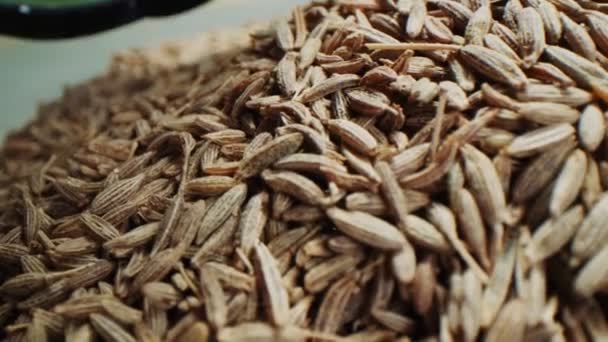Ароматические семена джиры в миске на светлом фоне макрос — стоковое видео