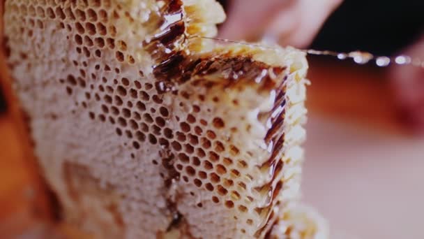 Piece of natural honeycombs on frame cut with knife macro — Stock Video