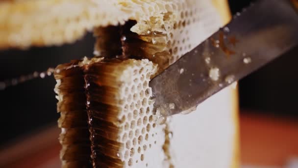 Person skär läckra honeycombs med kniv extrem makro — Stockvideo