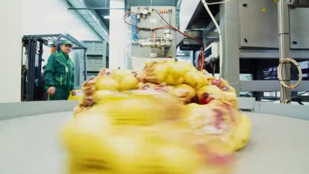 Bolsas de malla con vuelta de patata en línea de producción timelapse — Vídeos de Stock