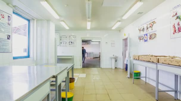 Los trabajadores del almacén ponen productos y transportan carne timelapse — Vídeo de stock