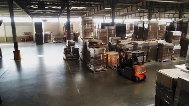 Vorkheftruck neemt karton en transporteert in magazijn — Stockvideo