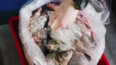 Adam kırmızı kabın içindeki balıklara tuz döküyor.