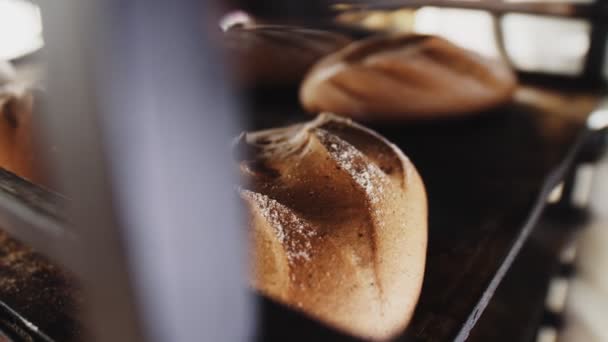 Heerlijk brood met bloem op metalen plank in bakkerij closeup — Stockvideo