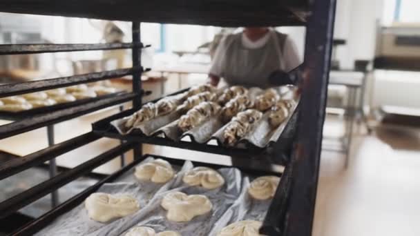 Femme met tartes avec des graines de pavot sur support métallique vue de près — Video