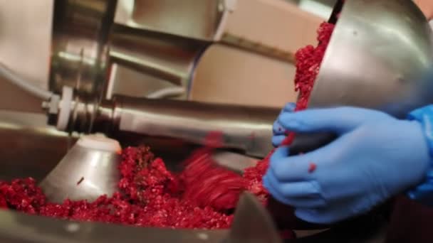 Geschoolde arbeider in handschoenen giet gehakt vlees in de winkel closeup — Stockvideo