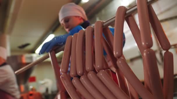 Abile operaio ragazza mette salsicce fresche su rack in officina — Video Stock
