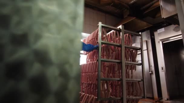 Ragazza lavoratore porta rack con gustose salsicce lungo officina — Video Stock