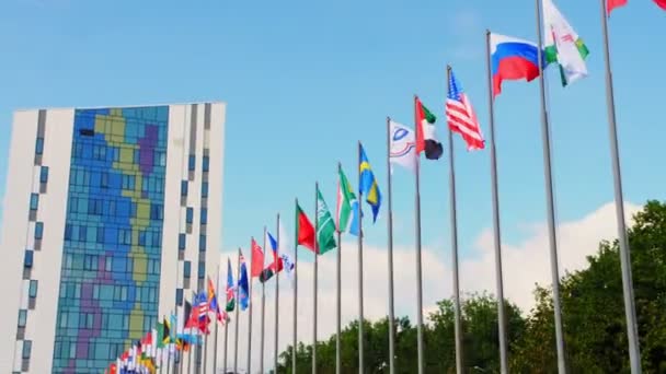 Banderas de países extranjeros ondeadas por el viento en los postes bajo el cielo azul — Vídeo de stock