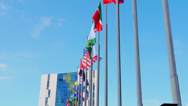 Row of flags waving in wind on high poles on sunny day — Stock Video