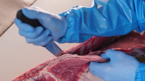 Trabalhador veste carne fresca com faca na mesa na oficina — Vídeo de Stock