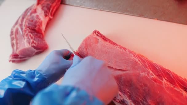 Carnicero en guantes de goma corta carne fresca de cerdo cruda en la mesa — Vídeo de stock