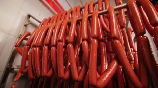 Водяной душ моет натуральные колбасы в мастерской крупным планом — стоковое видео