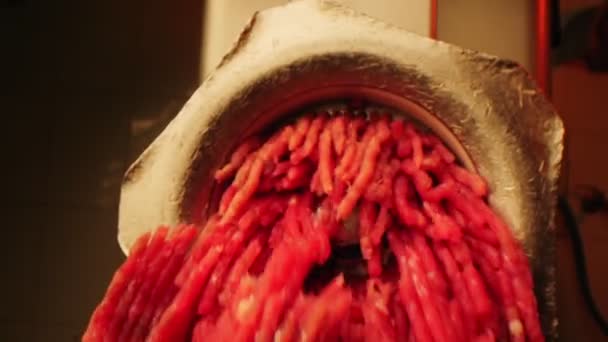A darált hús az elavult szerszámgépen keresztül mozog a boltban — Stock videók