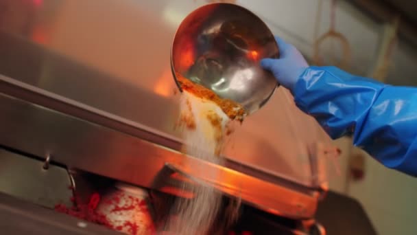 Lavoratore qualificato aggiunge spezie alla carne nella mescolatrice in negozio — Video Stock