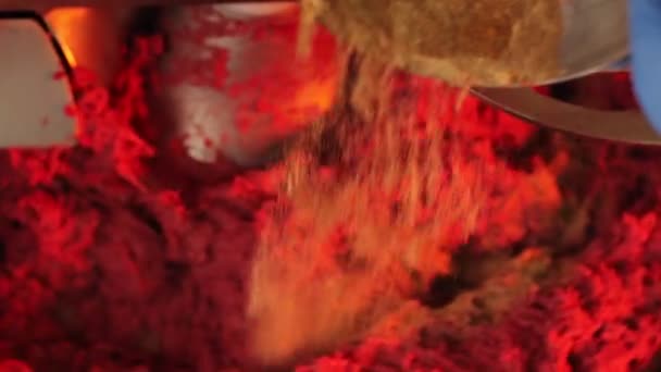 Работник наливает специи в превращение контейнера с мясом — стоковое видео
