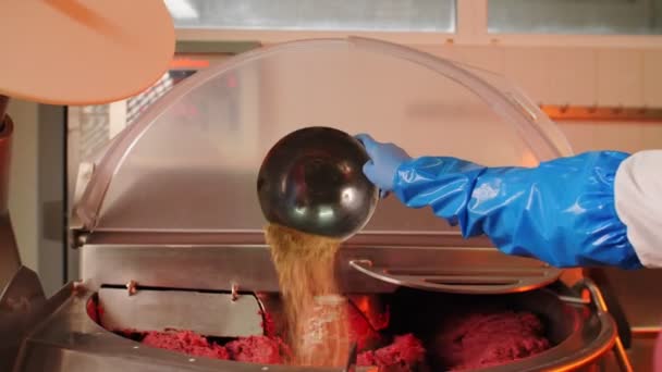 Vrouw giet specerijen in werktuigmachine met gehakt vlees — Stockvideo