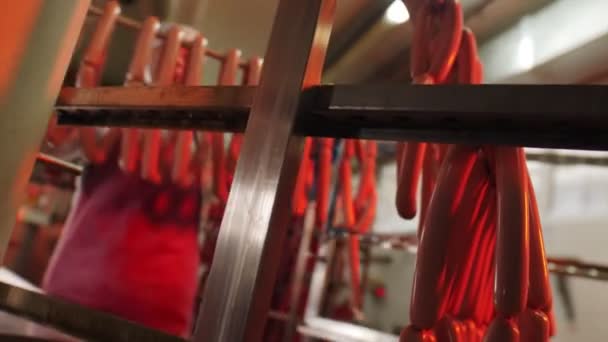 Young woman puts metal bar with sausages onto rack in shop — Stock Video