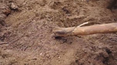 Çalışan toprak yükleme direğini yere yakın görüntüye döker