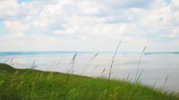 Трава качается в ветре на холме возле реки против облачного неба — стоковое видео