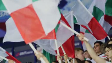 Hokey taraftarları stadyumda favori takım renginde bayraklar sallıyor