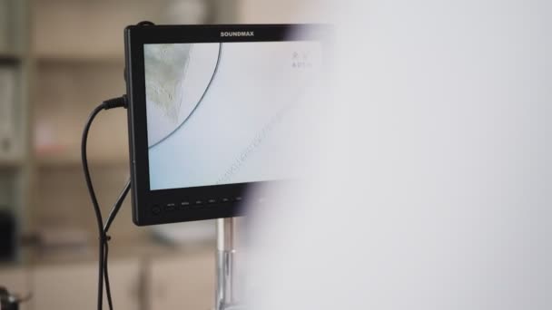 Monitorul prezintă textura cărnii verificată în laboratorul de control — Videoclip de stoc