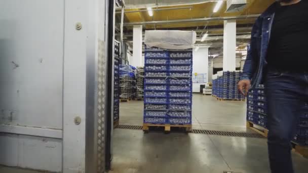 Werknemer transporteert pallet met aardappelen naar koelruimte — Stockvideo