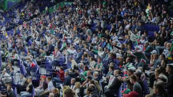 Cheerful sports fans watch hockey game supporting players — Stock Video