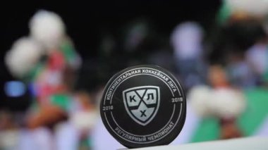 Siyah hokey diski ve üzerinde şampiyonluk logosu var.