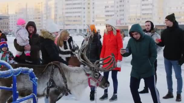 Mensen nemen foto 's en kijken naar kariboe op besneeuwde straat — Stockvideo