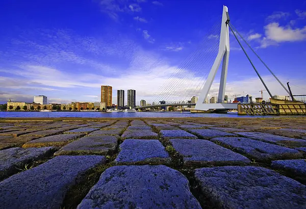 Erasmus Köprüsü, Rotterdam — Stok fotoğraf