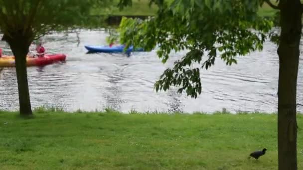 Oskärpa, gå människor båtlivet i parken — Stockvideo