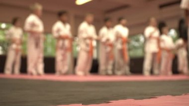 Ufuk bulanıklık, Karate eğitimi 