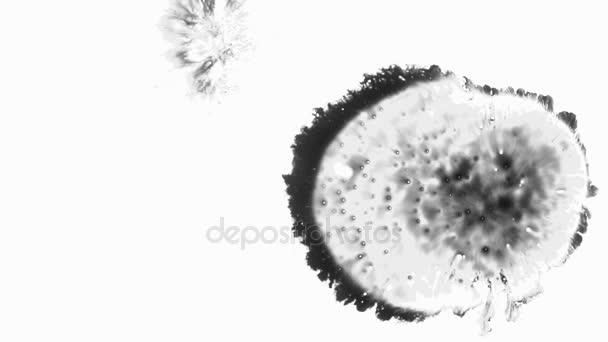 顕微鏡下で細菌の繁殖 — ストック動画