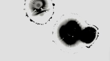 bakteri üreme mikroskop altında